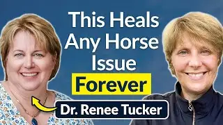 30-year Horse Vet: How Energy Healing Transforms Horses (Podcast with Tracey Cole)