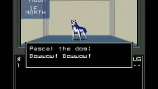 Pascal the dog is here.