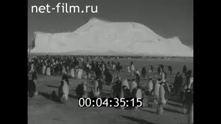 1960г. п.Мирный. Антарктида