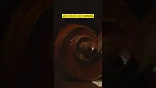 Violino de OFICINA Antoni Marsale