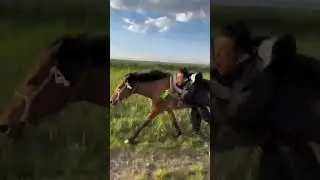A Mongol without a horse is like a bird without wings ! #horseriding #horseracing #horsepower