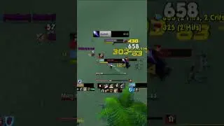 Leveling with War Mode ON in WoW Turtle be like... 🐢⚔️