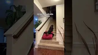 Mr. Potato is rolling around || izabelamarie #funny #school #relatable #trending #fyp