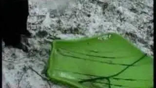 Clean My Sled!