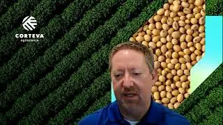 Scouting and Planning Post-Emergence Weed Control