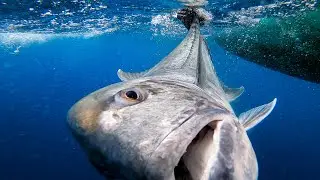 WHAT'S IT REALLY LIKE FISHING IN BALI?