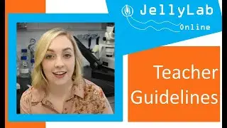 JellyLab Online: guidelines for teachers