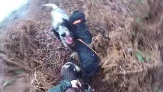 Chasse &agrave; la b&eacute;casse dans le Finist&egrave;re .