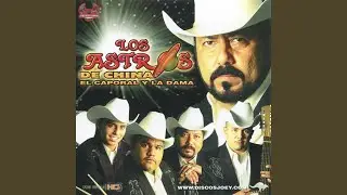 El Tiburon del Golfo