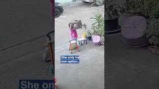 Toddler has excellent problem solving skills