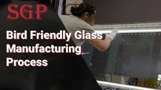Bird Friendly Glass Manufacturing Process | Insulated Glass Units by Security Glass Products