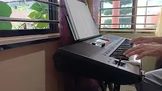 电子琴演奏马健涛（搀扶）🌹