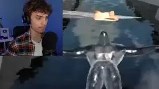 Dani plays flying gorilla