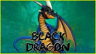 Visiting The Black Dragon Again in Heliodor Sewers | Dragon Quest 11 Game