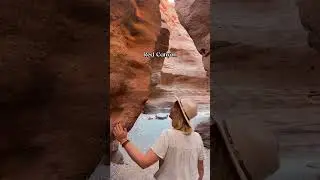 4 Places to Visit in the Negev Desert