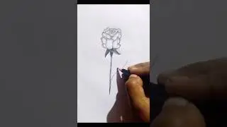 how to draw rouse  || Art work #art #rouse #pencildrawing #easy #shorts