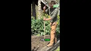 Setting Fence Posts the Old-School Way &ndash; Wattle Fence Build