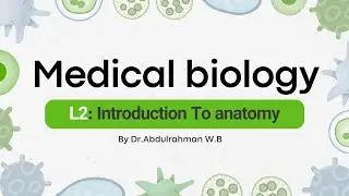 Medical biology ( L2):  introduction to anatomy ( alnahrain university/ college of medicine)