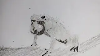 How to draw a frog