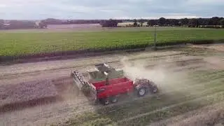 moisson colza 2021