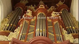 J.S. Bach - Concerto D Dur (part 2) after BWV 1042, 1054. Wouter Koelewijn, Müller organ Leeuwarden