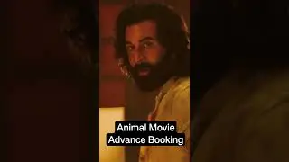 Animal Movie Advance Booking Collection | #update #animalfirstlook #movie #animalteaserreview