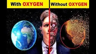 What If Earth Had No Oxygen for 5 Seconds? | Hypothetical Scenarios