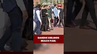 Rahul Gandhi & Priyanka Gandhi Arrive in Parliament | Visuals from Delhi
