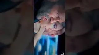 Fast And Furious scene 2#shortvideo#fastandfurious#cars