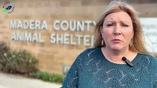 Madera County Animal Services Illegal Pet Dumping