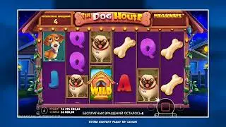 📹 MEN KUTGAN ZANOS (FARZO) #casino #maxwin #slot #doghouse 