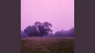 Caelan (Extended)