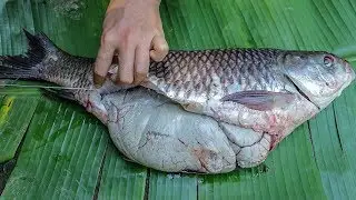 Amazing Cooking Tasty Big Fish Eggs Recipe