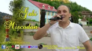 Gabi Miscodan - Ca un bulgar de zapada, Sa-mi creasca baiatul | LIVE Terasa Sacelu