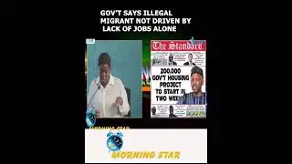 Gov't says illegal migration not driven by lack of jobs alone#shortvideo
