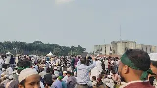 হাদির জানাজার live!