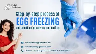 Egg Freezing Explained: Process, Benefits, and Optimal Timing | Indian Egg Donors