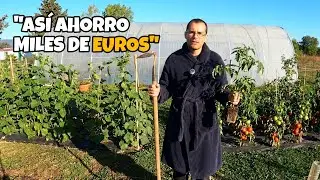 Las 5 razones por las que HACER UN HUERTO es la mejor actividad para tu tiempo libre.