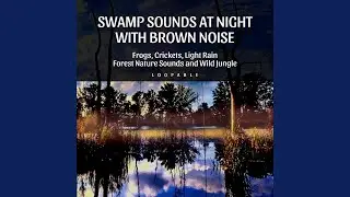 Brown Noise, The Streams Rising (Loopable)