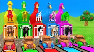 Long Slide Game with Cow Elephant Gorilla Hippopotamus Tiger 3d Animal Game Funny 3d Animals