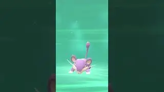 Rattata Evolution