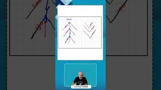 Bir Şey Karıştırılırsa Sınav sorusu olur. #shorts #shortvideo #yks #tyt #tytcoğrafya 