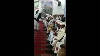Pushto Naat Ya Habibi Murshidi Saifi Naat