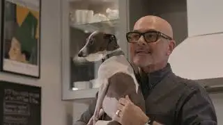 Everything I Love: Dogs | Neale Whitaker