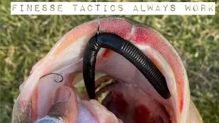 Finesse tactics always work