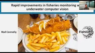 Fish AI consortium seminars: Rod Connolly (FishID) on rapid improvements in fisheries monitoring