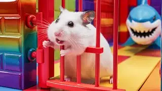 Hamster Escape the Rainbow Prison Maze - Hamster's Great Escape