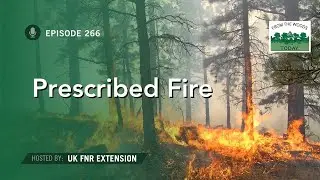 Prescribed Fires - From the Woods Today - Episode  266
