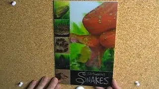 Slithering Snakes