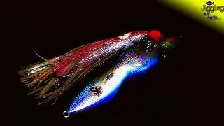 Jigging a la Carta. Inchiku Squilla